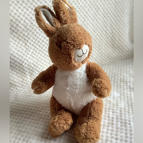 Peter Rabbit Beatrix Potter Plush Bunny Rabbit Stuffed Animal Embroidered Eyes - Picture 4 of 13